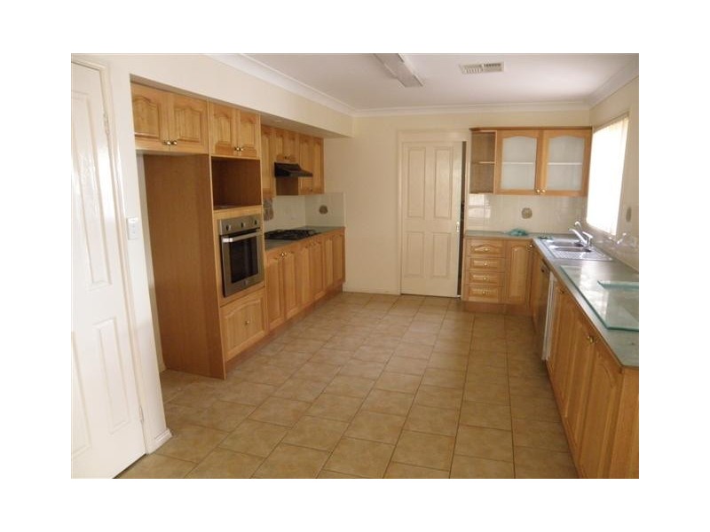 17 Wright Place, Narellan Vale NSW 2567