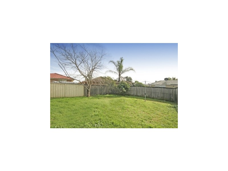 Narellan Vale NSW 2567