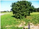 33 Bottlebrush Street, Forrest Beach QLD 4850