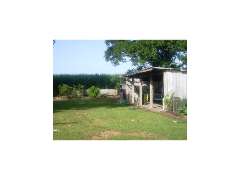 111 Sachs La, Ingham QLD 4850
