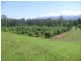 4 Rungoo Siding – Cardwell Range, Ingham QLD 4850