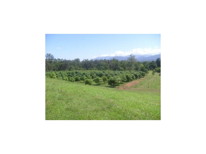 4 Rungoo Siding – Cardwell Range, Ingham QLD 4850