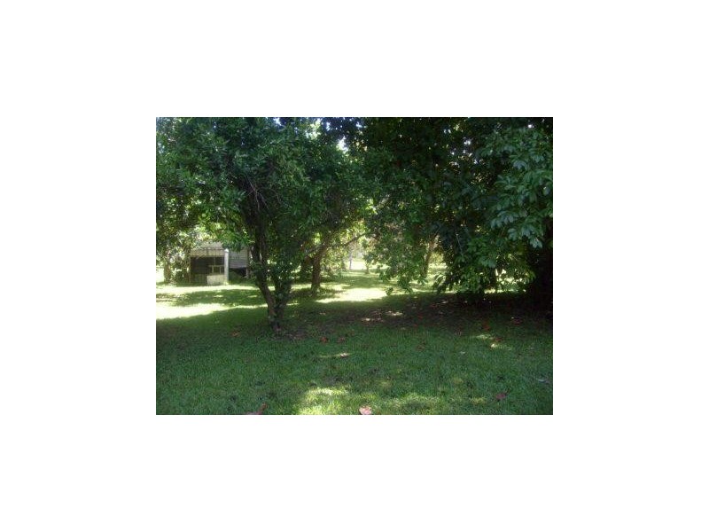 4 Rungoo Siding – Cardwell Range, Ingham QLD 4850