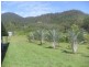 4 Rungoo Siding – Cardwell Range, Ingham QLD 4850