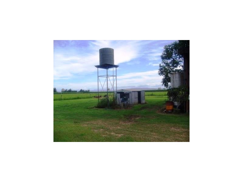 1957 Abergowrie Road, Lannercost QLD 4850