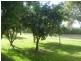 Halifax QLD 4850