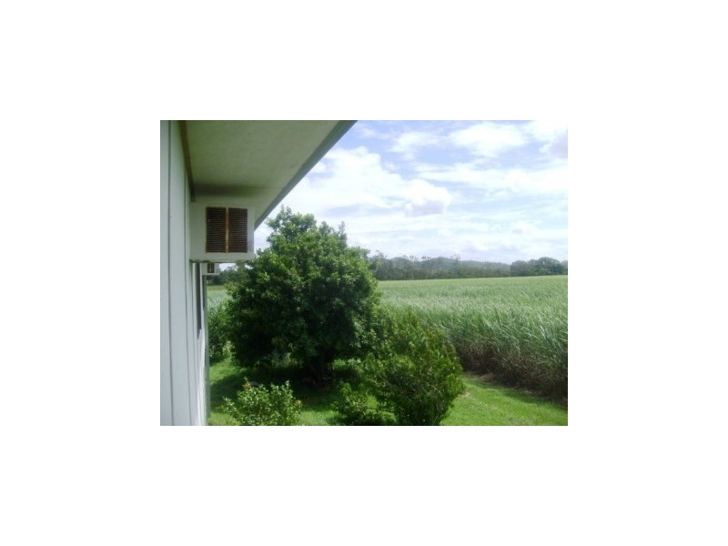 1208 Stone River Road, Ingham QLD 4850
