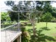 Ingham QLD 4850