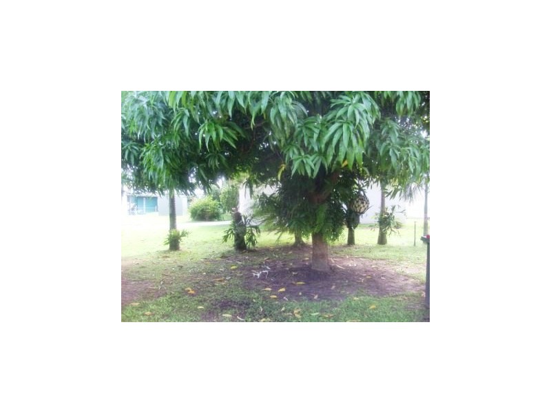 12 Barramundi Street, Taylors Beach QLD 4850