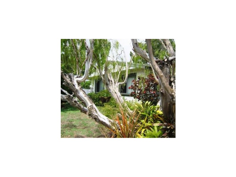 13 Grevillea Street, Forrest Beach QLD 4850