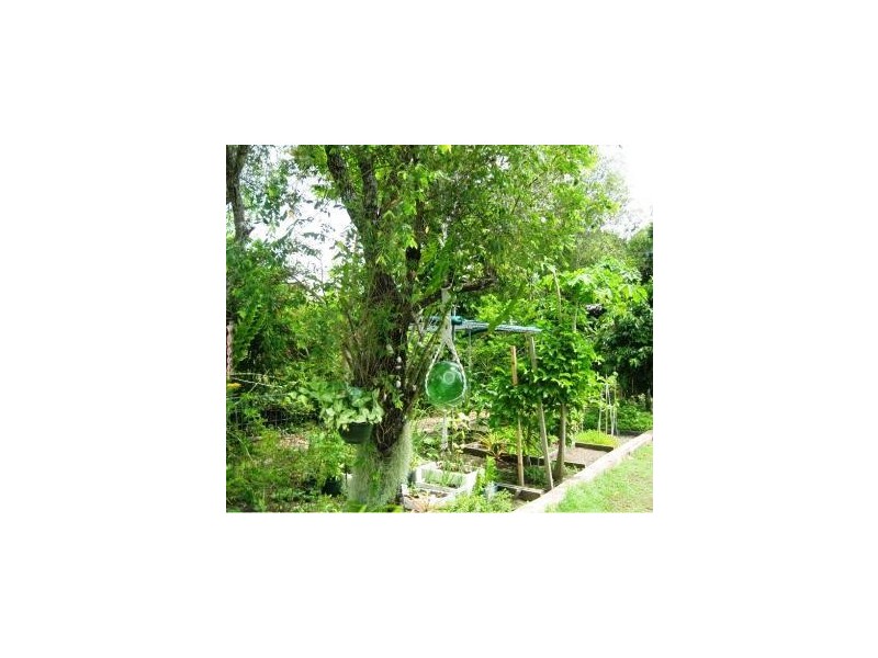 13 Grevillea Street, Forrest Beach QLD 4850