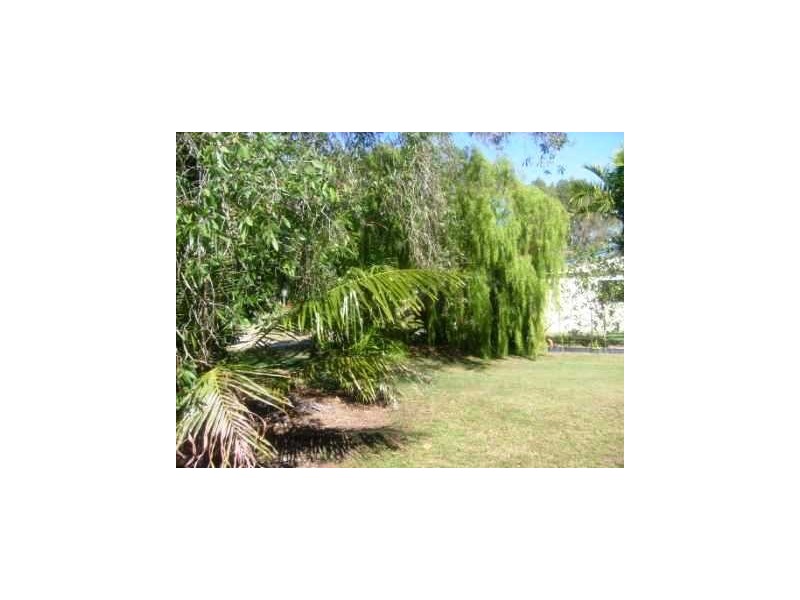 127 John Dory Street, Taylors Beach QLD 4850