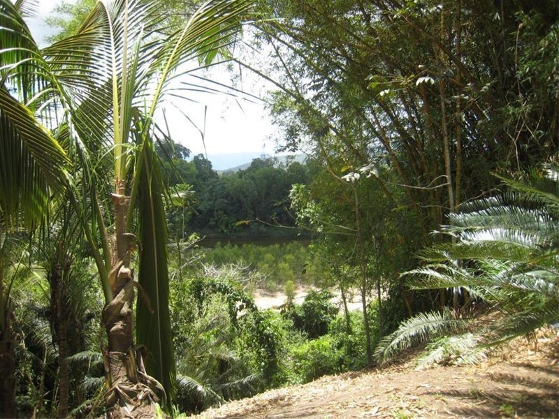 34 Old Bridge Road, Long Pocket QLD 4850