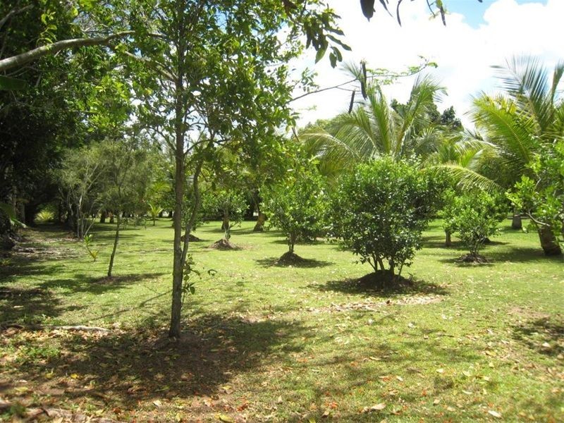 34 Old Bridge Road, Long Pocket QLD 4850