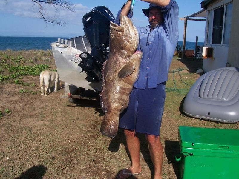 Forrest Beach QLD 4850