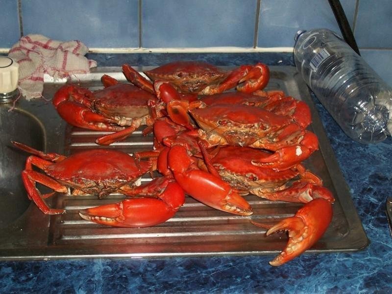 Forrest Beach QLD 4850