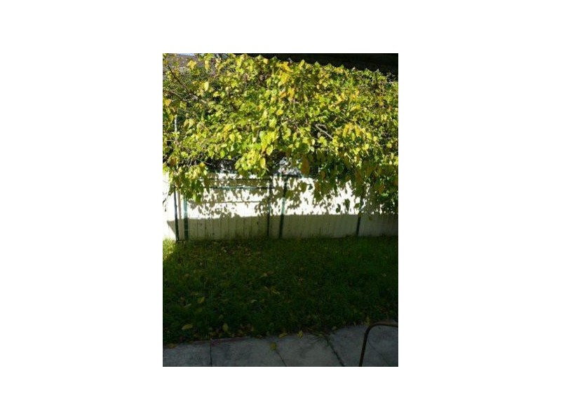 21  Gladstone Street, North Parramatta NSW 2151