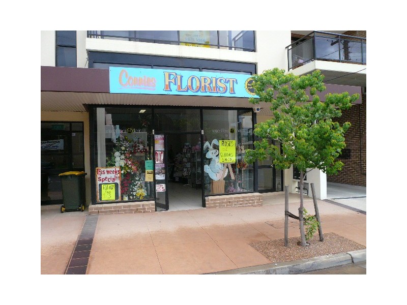 281  Beams Avenue, Mount Druitt NSW 2770