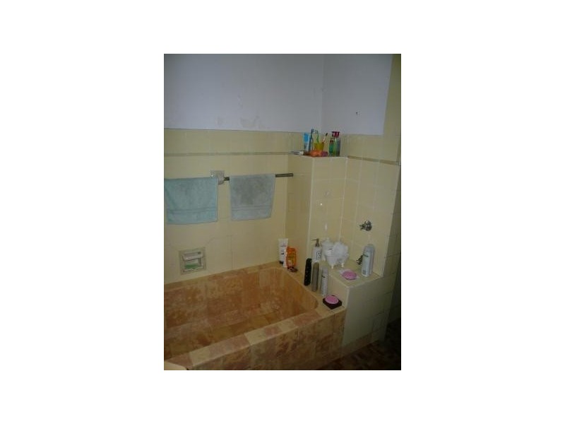 58 Washington Street, Bexley NSW 2207