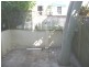 33 Bennett Street, Surry Hills NSW 2010