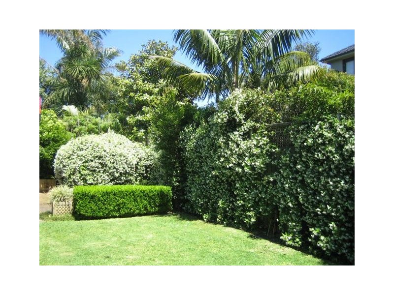 22 Bradley Avenue, Bellevue Hill NSW 2023
