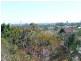 12/12  Porter Street, Bondi Junction NSW 2022
