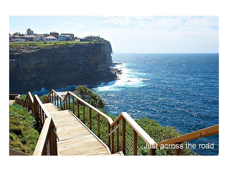 2/335 MILITARY ROAD, Vaucluse NSW 2030