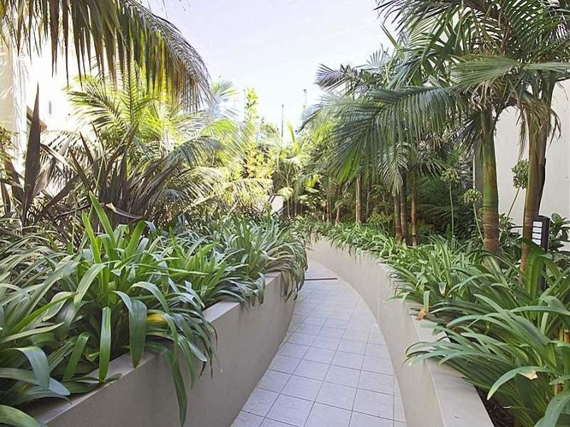 6/117-123 Bronte Road, Bondi Junction NSW 2022