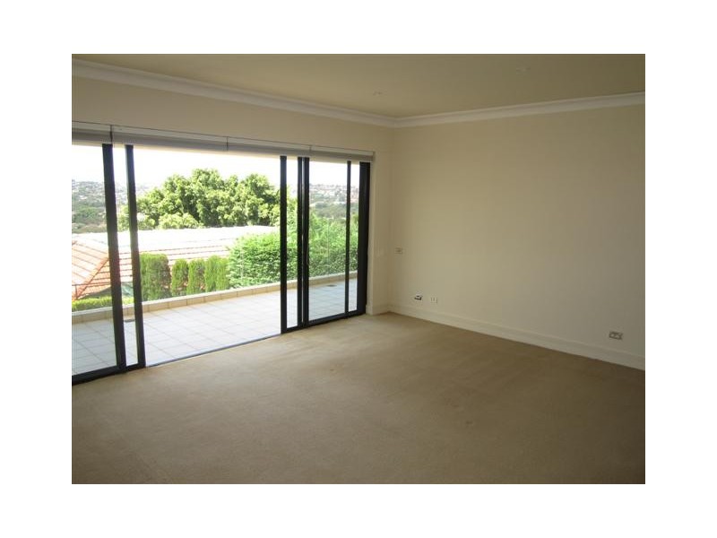 23 Drumalbyn Rd, Bellevue Hill NSW 2023