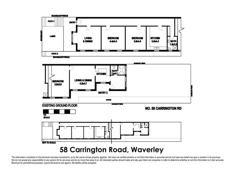 58  Carrington Road, Waverley NSW 2024