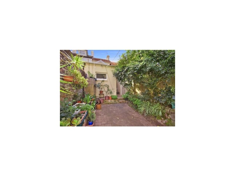 56 Brown Street, Paddington NSW 2021