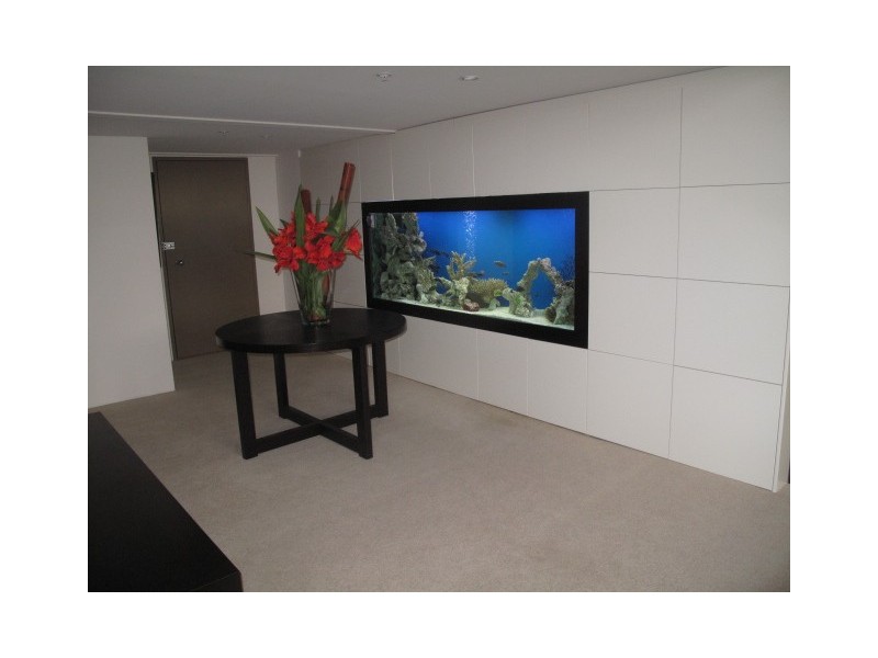 208/66 McLachlan Avenue, Rushcutters Bay NSW 2011