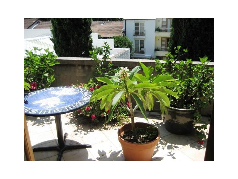 12 Cecil Street, Paddington NSW 2021