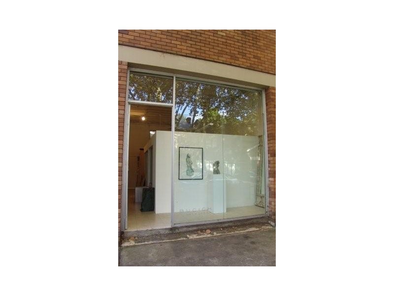 10 Cecil Street, Paddington NSW 2021