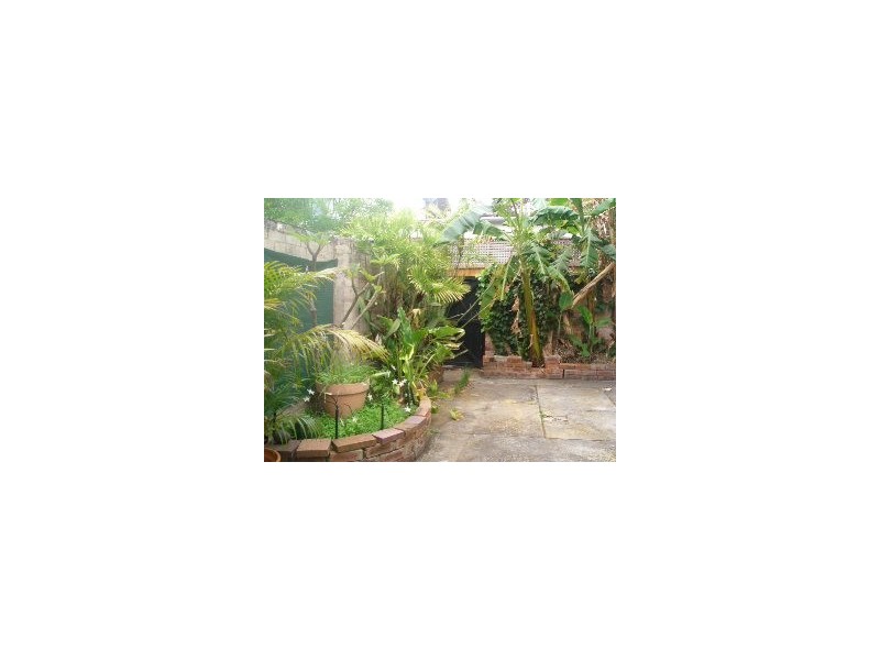 31 Philip Street, Bondi NSW 2026