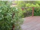 61 Dugdale Street, Cook ACT 2614