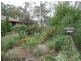 61 Dugdale Street, Cook ACT 2614