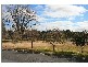 12  Wanniassa Street, Queanbeyan NSW 2620