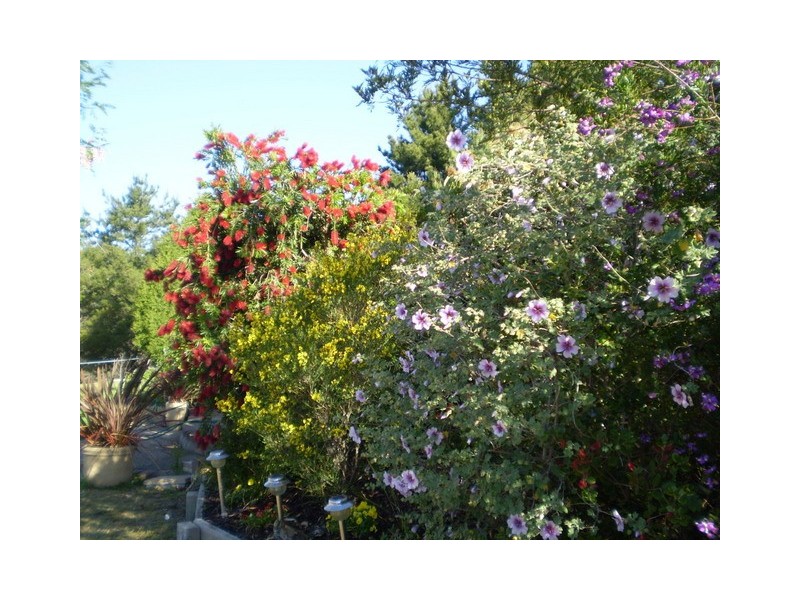 52  South Wolumla Road, Wolumla NSW 2550