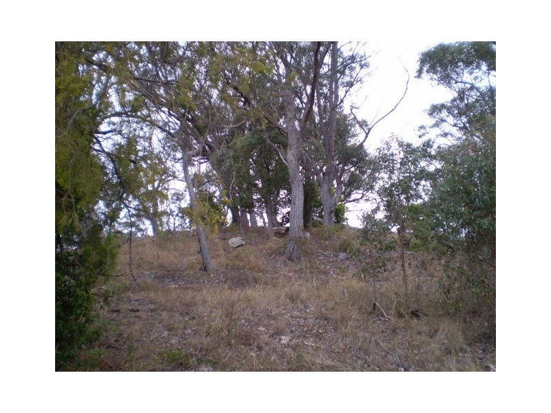 52  South Wolumla Road, Wolumla NSW 2550