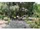 143 Rossi Street, Yass NSW 2582