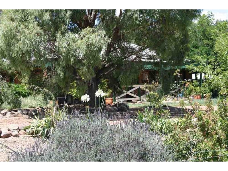 143 Rossi Street, Yass NSW 2582