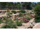 143 Rossi Street, Yass NSW 2582