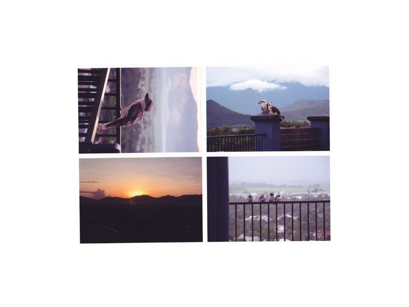 7 Maynard Close, Mount Sheridan QLD 4868