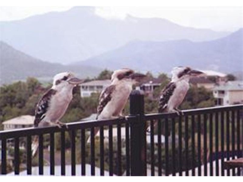 7 Maynard Close, Mount Sheridan QLD 4868