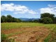 1483 Pine Creek Road, East Trinity QLD 4871