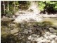 1483 Pine Creek Road, East Trinity QLD 4871