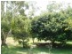 1483 Pine Creek Road, East Trinity QLD 4871