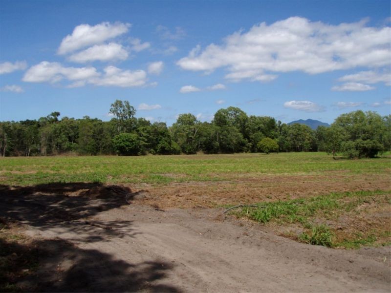 1483 Pine Creek Road, East Trinity QLD 4871