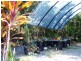 1483 Pine Creek Road, East Trinity QLD 4871